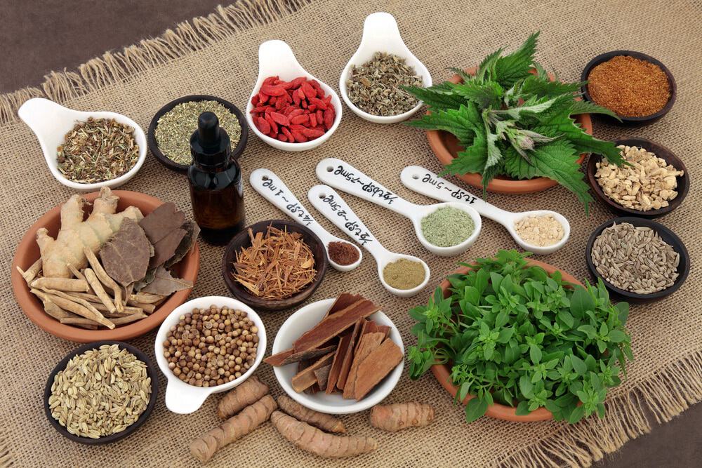 Ayurveda Consultation